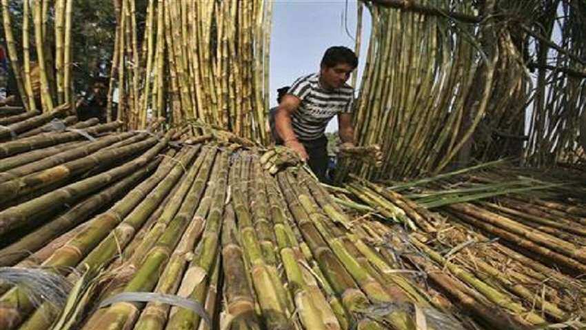 Cabinet Decision: गन्ना किसानों को बड़ा तोहफा, गन्ने का FRP 10 रुपये क्विंटल बढ़ाया