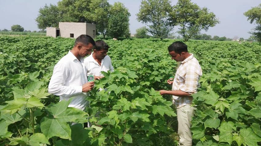 फल-सब्जी उत्पादन में भारत ने बनाया रिकॉर्ड, बागवानी ने बढ़ाई किसानों की कमाई