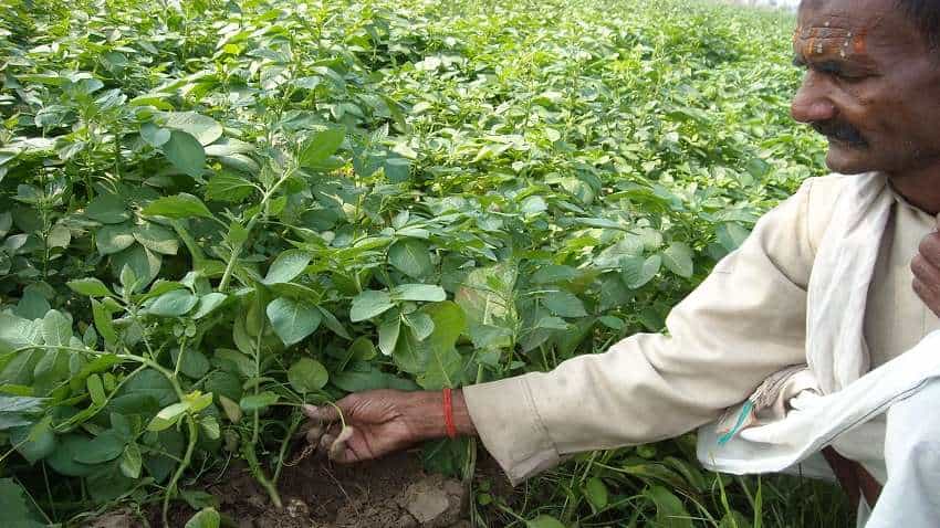मध्य प्रदेश सरकार का किसानों को बड़ा गिफ्ट, हर साल मिलेंगे 10,000 रुपये