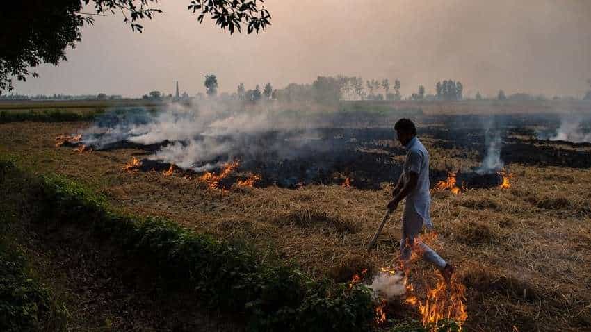 दिल्ली-NCR में पराली जलाने के खिलाफ केंद्र का एक्शन, राज्य सरकारों को दिए ये निर्देश
