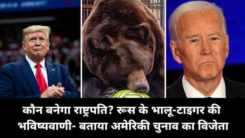 कौन बनेगा राष्ट्रपति? रूस के भालू-टाइगर की भविष्यवाणी- बताया अमेरिकी चुनाव का विजेता