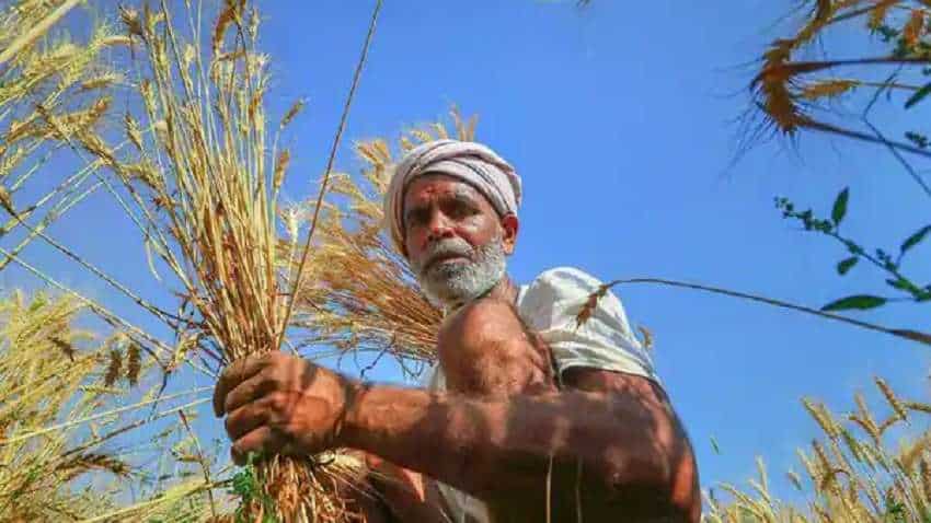 PM Kisan Samman Nidhi: किसानों के खाते में इस समय आएगी 2000 रुपये की किस्त 