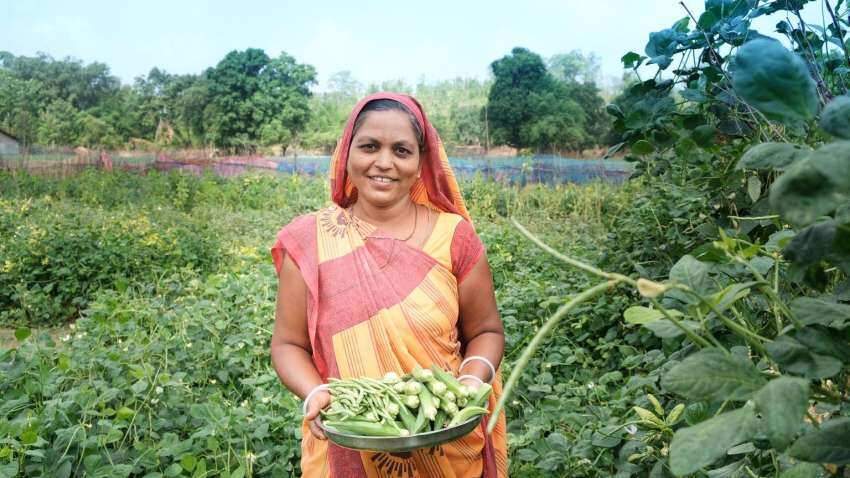 मध्य प्रदेश में तय हो सकता है सब्जियों का MSP, किसानों की इनकम में होगा इजाफा