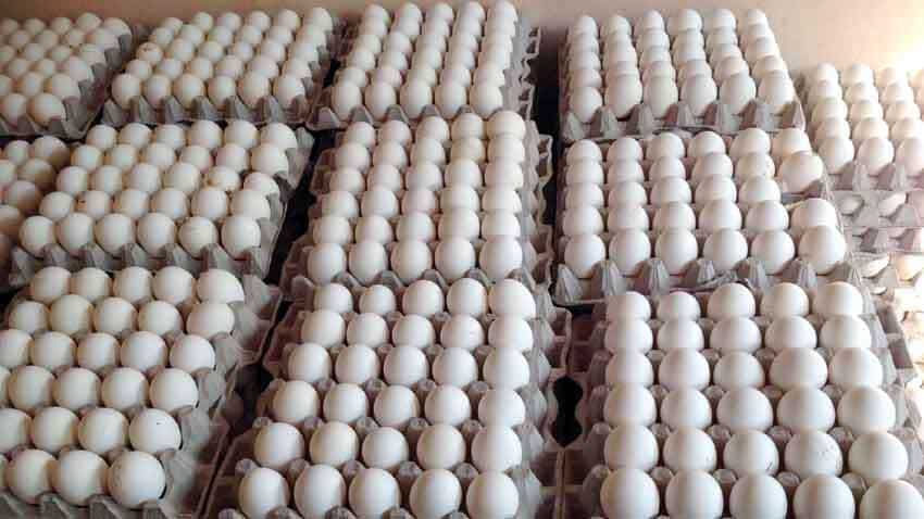 अंडे (Egg) के भाव ने सर्दी में बढ़ाई गर्मी- कीमतों ने तोड़ा 3 साल का रिकॉर्ड, जानें ताजा भाव