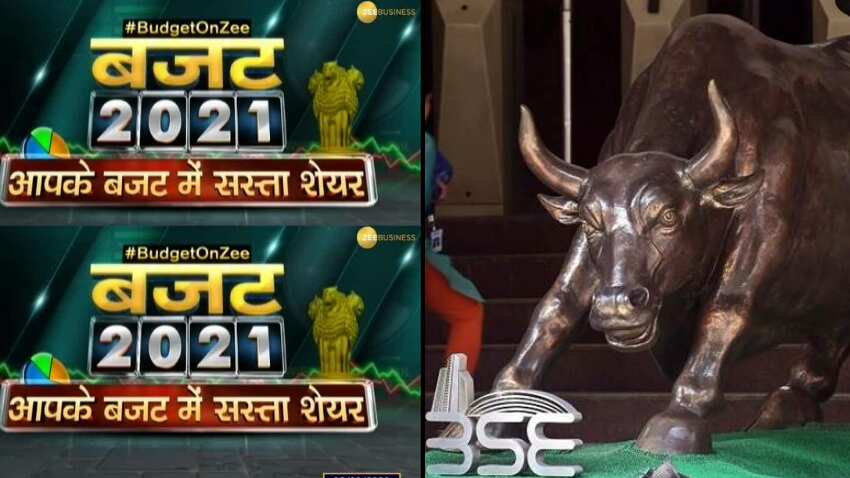 Budget Stocks Pick: बजट के लिहाज से और बजट के बाद भी ये शेयर लगाएगा दौड़, जानिए अनिल सिंघवी को क्यों है पसंद?