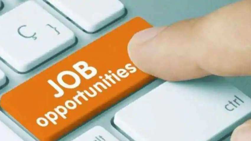 Job Alert: इस सॉफ्टवेयर कंपनी में है वैकेंसी, अगले तीन तिमाहियों में करेगी 900 कर्मचारियों की भर्ती