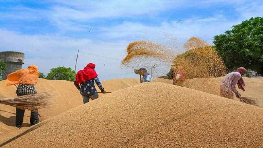 गेहूं-सरसों सहित कई फसलों का MSP बढ़ा, जानें अब किसका कितना हो गया नया रेट