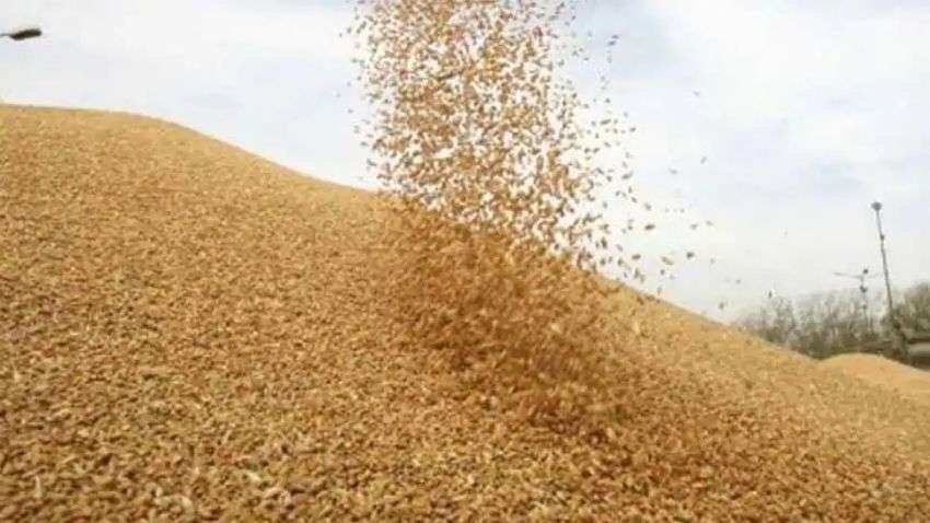 Kharif crops: इस साल खरीफ सीजन में होगी अनाज की रिकॉर्ड पैदावार, जानिए क्या है सरकार अनुमान 