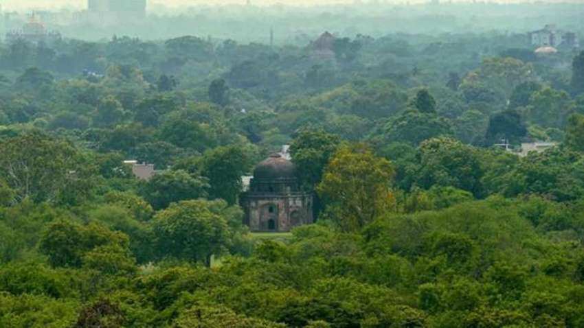 दिल्ली में काटे जा सकते हैं 5000 से अधिक पेड़, नेशनल हाईवे बनाने के लिए NHAI ने वन विभाग से मांगी परमिशन