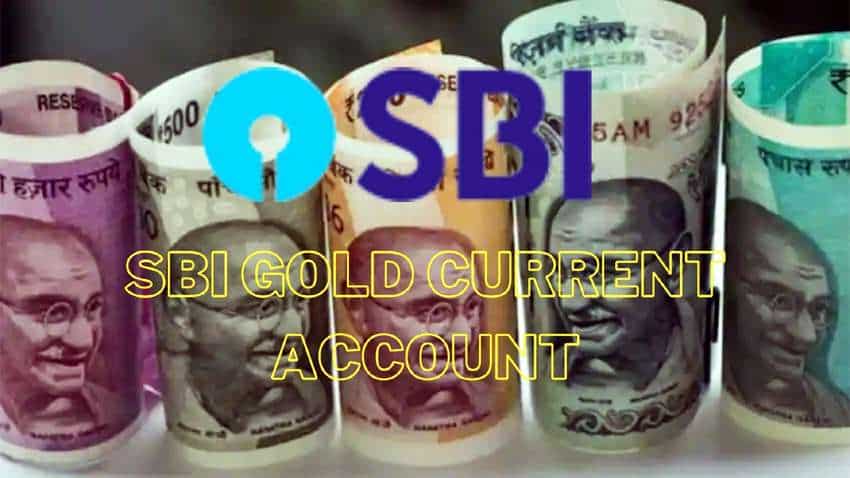   SBI Gold Current Account के फायदे हैं जबरदस्त, ट्रांजैक्शन की मिलती है पूरी आजादी, समझ लें नियम