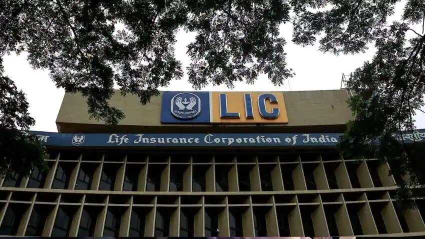 LIC Dhan Rekha: महिलाओं के लिए लॉन्च हुई ये खास स्कीम, मैच्योरिटी पर कितना मिलेगा पैसा, जानिए इसकी खासियत