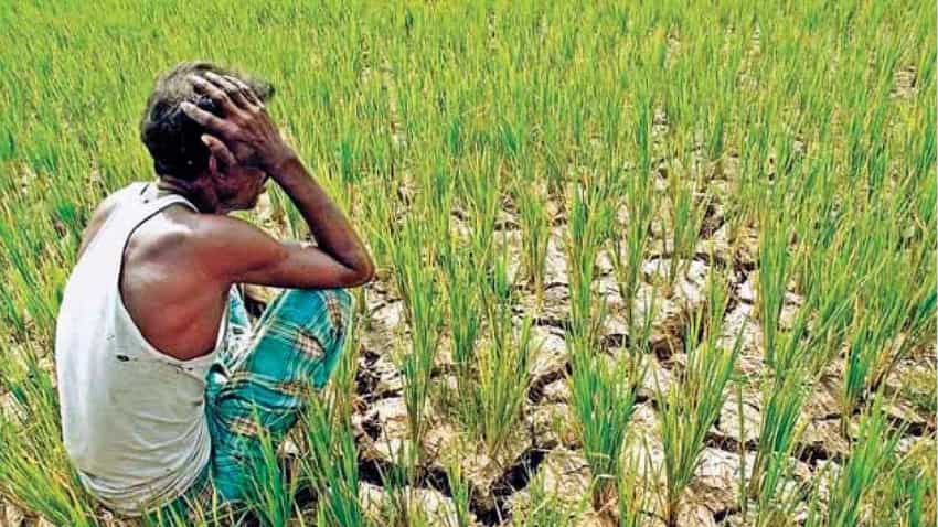 PM Kisan: किसानों के लिए खुशखबरी! सरकार दे रही है 15 लाख रुपए की मदद- जानें कैसे करें अप्लाई