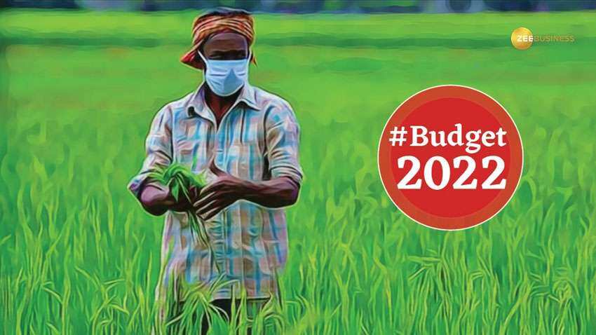 Budget 2022: किसानों के लिए आ सकती है खुशखबरी! बजट में PM Kisan की रकम बढ़कर हो सकती है 8 हजार रुपए