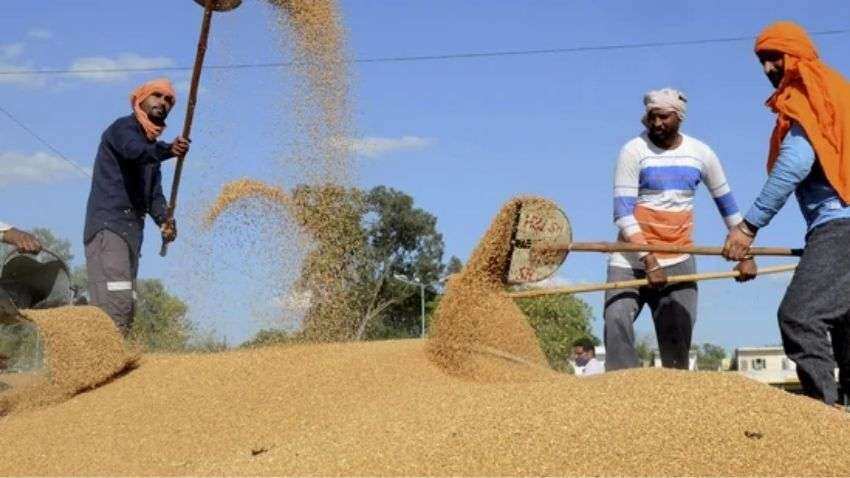Wheat export: अप्रैल-जुलाई में भारत 30 से 35 लाख टन गेहूं करेगा एक्सपोर्ट, केंद्र सरकार ने की है ये तैयारी