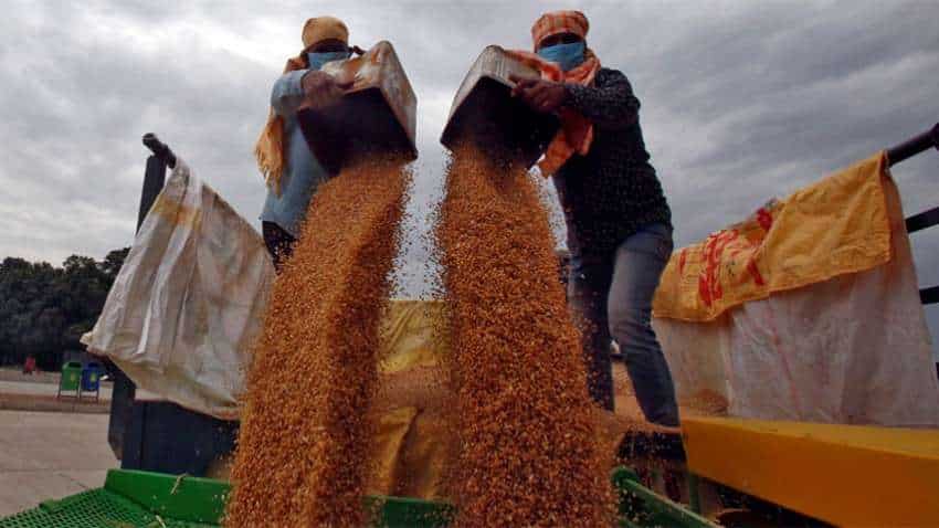 Wheat Prices: गेहूं के दाम में आ सकता है उछाल; क्‍या ब्रेड, बिस्किट की कीमतों पर भी पड़ेगा असर? 