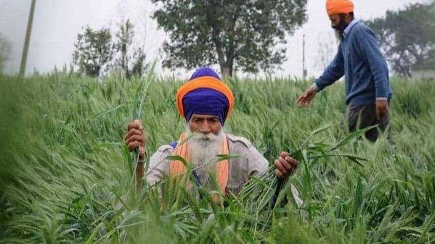 MSP in Punjab: पंजाब सरकार का बड़ा एलान, इन फसलों पर भी किसानों को मिलेगा न्यूनतम समर्थन मूल्य 