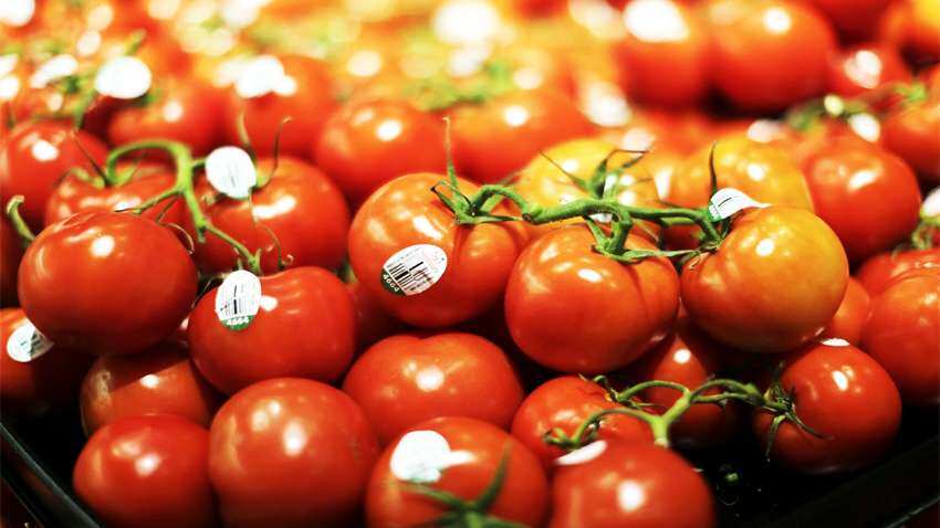 Tomato Price Hike: टमाटर मचा रहा महंगाई का शोर, खुदरा कीमतें 77 रुपये प्रति किलोग्राम तक बढ़ीं