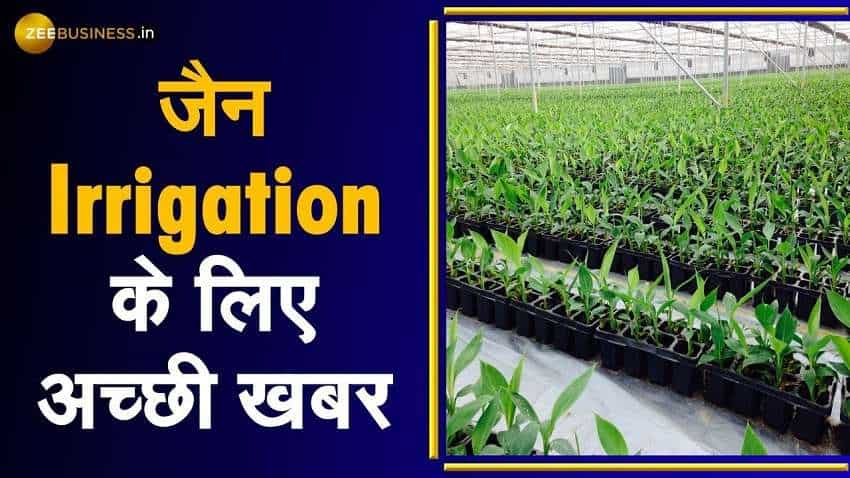 Jain Irrigation Share Price: गिरते बाजार में भी जोर से उछला शेयर, रिस्ट्रक्चरिंग को लेकर आई बड़ी खबर, आगे क्या?