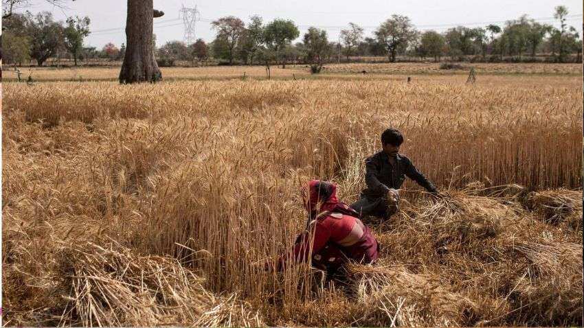 बड़ी खबर! अब दूसरे राज्य में आसानी से अपनी फसल बेच पाएंगे किसान, सरकार ने दी बड़ी सुविधा