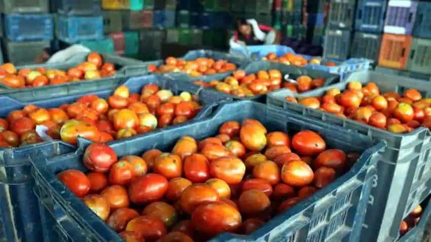 Tomato-Onion Price: पिछले 1 महीने में 9-29% तक घटे प्याज-टमाटर के दाम, जानिए ताजा कीमत