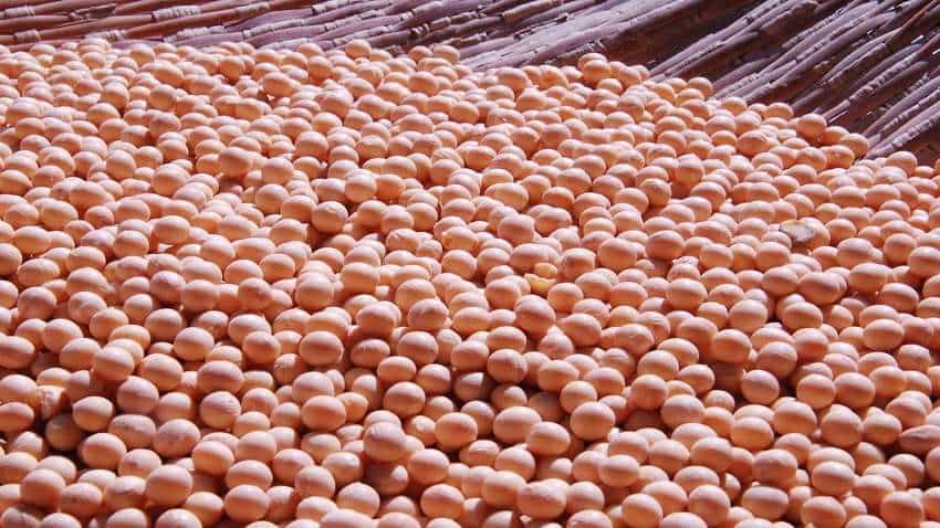 Soybean Price: सोयबीन की कीमतों में तेजी के आसार कम, मांग घटने और सप्लाई बढ़ने से 750 रुपये लुढ़क सकता है भाव