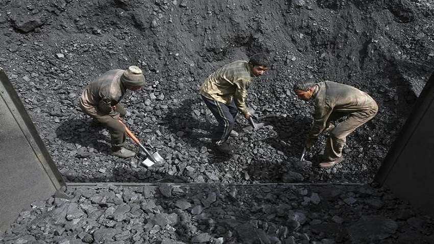 Coal India: Q1 नतीजों के बाद 52 हफ्ते के हाई पर शेयर, आगे भी कराएगा कमाई, ब्रोकरेज ने दी Buy की सलाह