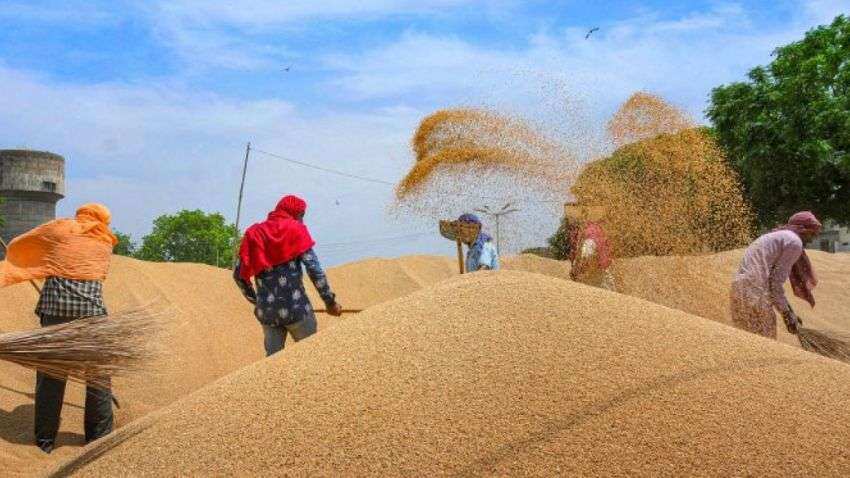 Wheat Import: गेहूं आयात की खबर पर सरकार का बयान, देश में पर्याप्त स्टॉक, इंपोर्ट का नहीं है प्लान