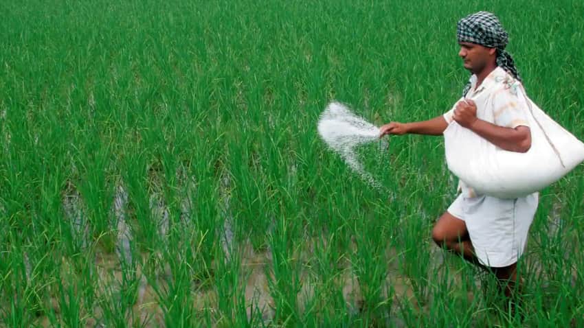 One Nation One Fertilizer: किसानों के लिए खुशखबरी, अक्टूबर से 'भारत' नाम से बिकेंगे सभी खाद, अब नहीं होगी यूरिया की किल्लत