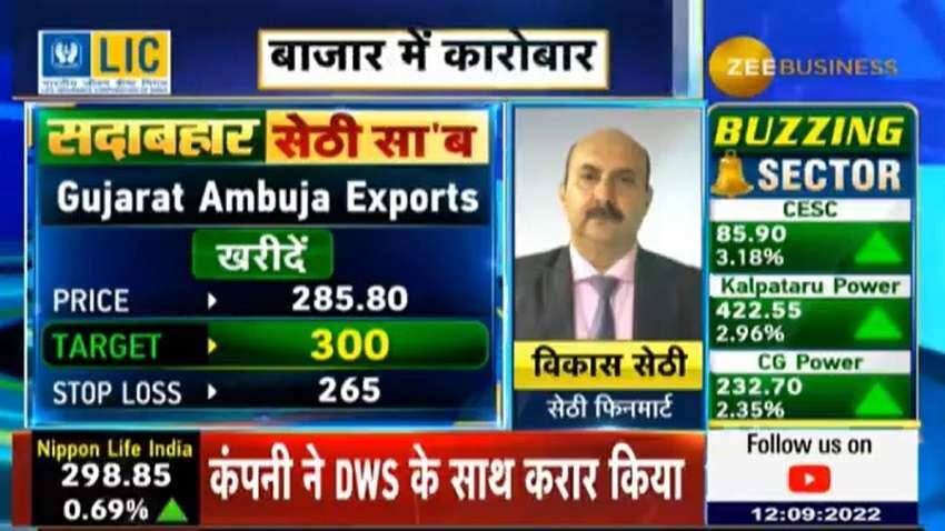 Expert Stocks:विकास सेठी के पसंदीदा शेयर को करें पोर्टफोलियो में शामिल, मिलेगा दमदार रिटर्न