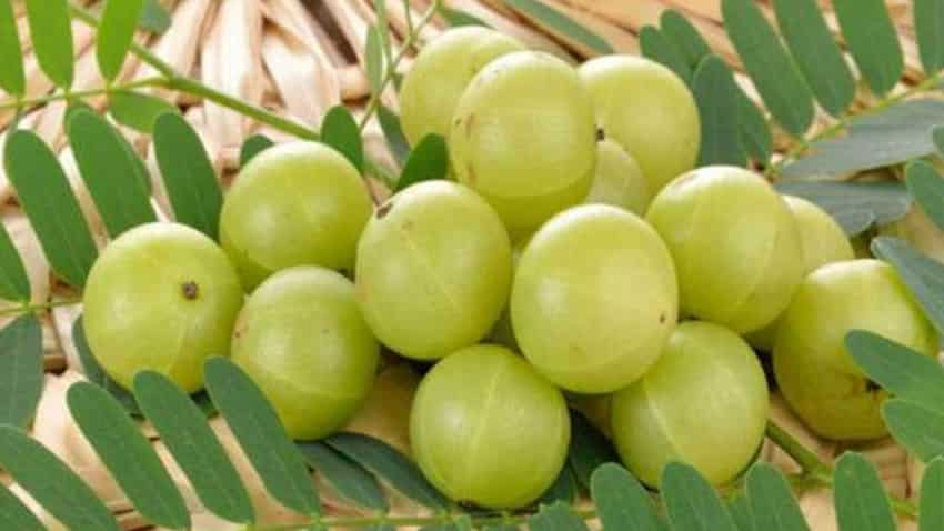 Amla Benefits and Side Effects: आयुर्वेद में ...