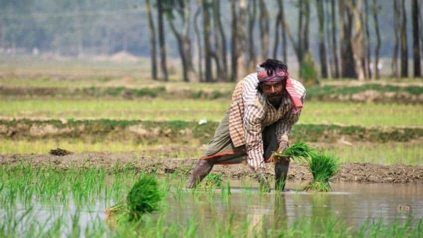 PM Kisan Yojana: पीएम किसान सम्मान निधि योजना पर आ गया ताजा अपडेट, जानें कब तक आ सकती है 12वीं किस्त