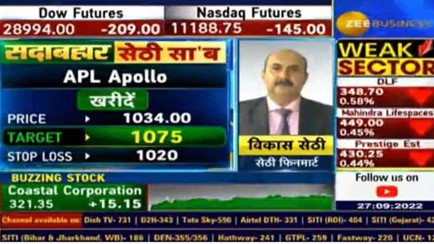 Expert Stocks:कमजोर बाजार में बनाएं मुनाफा! विकास सेठी को पसंद हैं ये दो शेयर, जानिए क्या है टारगेट?