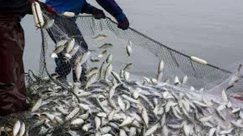Fish Farming Subsidy: मछली पालन पर सरकार दे रही 60% सब्सिडी, जाने कैसे  उठाएं योजना