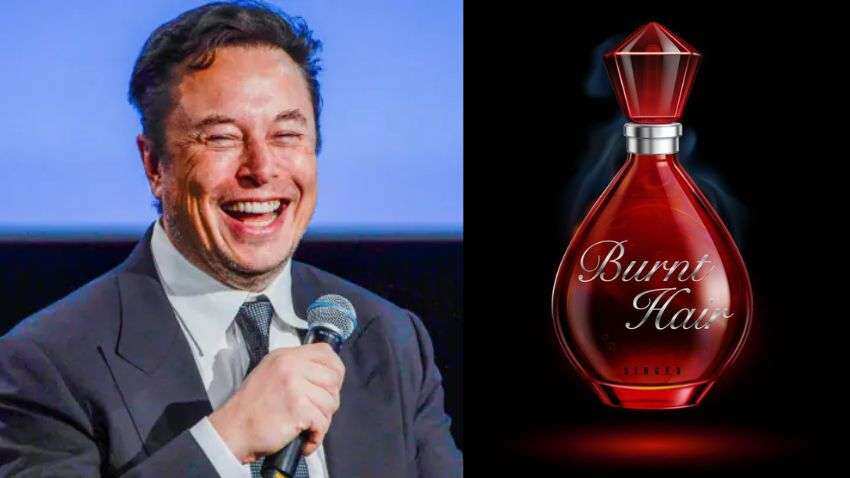 'जले हुए बाल' नाम से परफ्यूम बेच रहे हैं Elon Musk! 8,000 रुपये से ज्यादा महंगा है, बिक गईं 10 हजार बोतलें