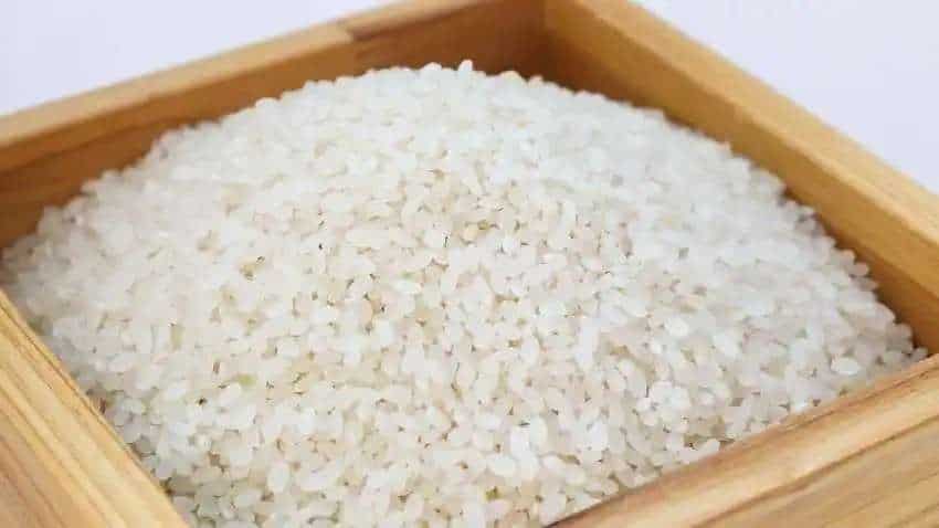 Broken Rice पर बैन जारी, इन लोगों को 3.97 लाख टन के एक्सपोर्ट की मिली मंजूरी, जानिए डीटेल