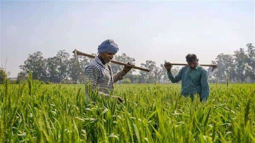 सरकार ने किसानों को दिया दिवाली का तोहफा, रबी की फसलों पर MSP में बढ़ोतरी को कैबिनेट ने दी मंजूरी