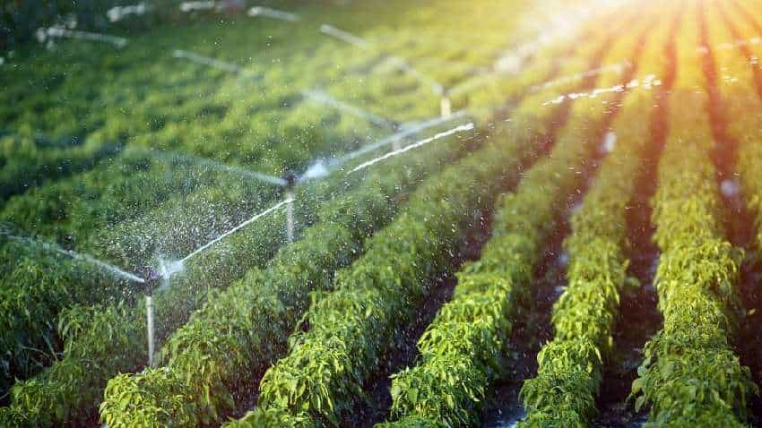 PMKSY: खेती में पानी की समस्या का नहीं करना होगा सामना, सरकार देगी सिंचाई उपकरणों पर 80 से 90% तक सब्सिडी