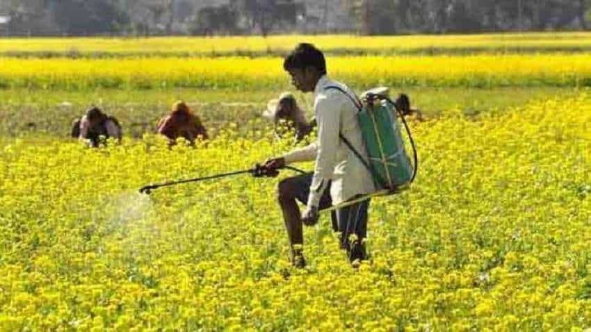 जीएम सरसों छिन लेगी 20 लाख किसानों की रोजी-रोटी, CAI ने पीएम नरेंद्र मोदी से लगाई ये गुहार