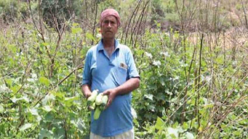 परिवार की नाराजगी के बावजूद खेती में आजमाया हाथ, 12 हजार लगाकर कमा लिए ₹1.25 लाख