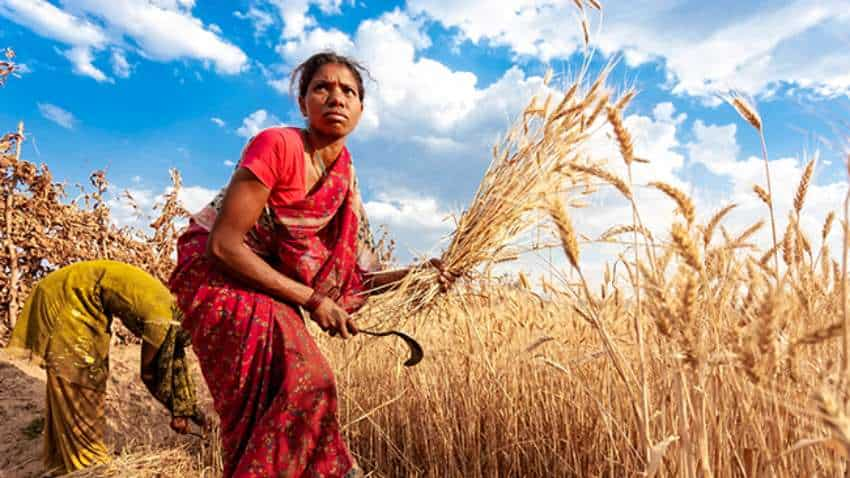 किसानों की मदद के लिए खास किसान खिदमत सेंटर हुए ओपन, जानें कैसे उठा सकते हैं आप इसका फायदा  