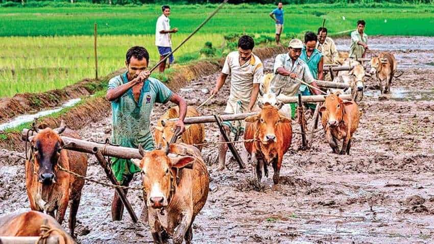 PM मोदी राज में एग्रीकल्चर बजट बढ़कर 6.22 लाख करोड़ पर पहुंचा, टेक्नोलॉजी से सुधरी किसानों की हालत