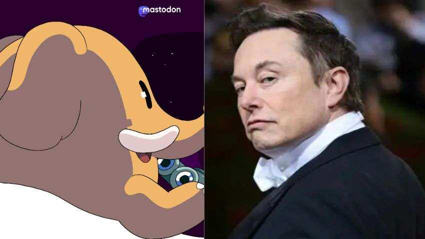 Twitter को टक्कर दे रहे Mastodon का अकाउंट Elon Musk ने क्यों किया सस्पेंड?