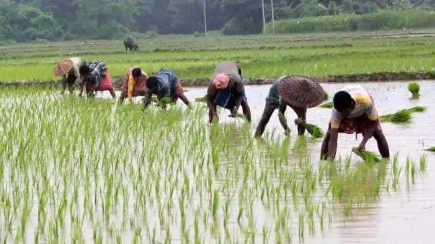 National Farmers Day: न के बराबर अंशदान और बेहिसाब फायदा, किसानों के लिए बेस्‍ट हैं ये 5 सरकारी योजनाएं