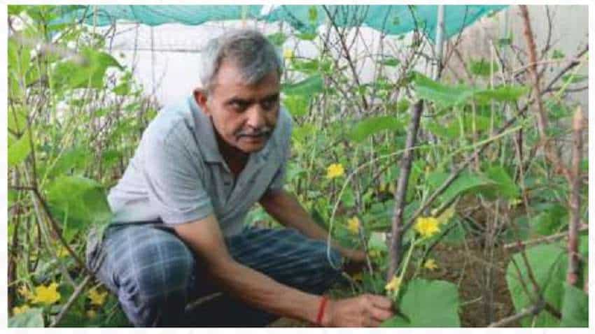 बंजर जमीन पर खेती कर इस किसान ने किया कमाल, 7500 रुपये लगाकर कमा लिया ₹2.5 लाख