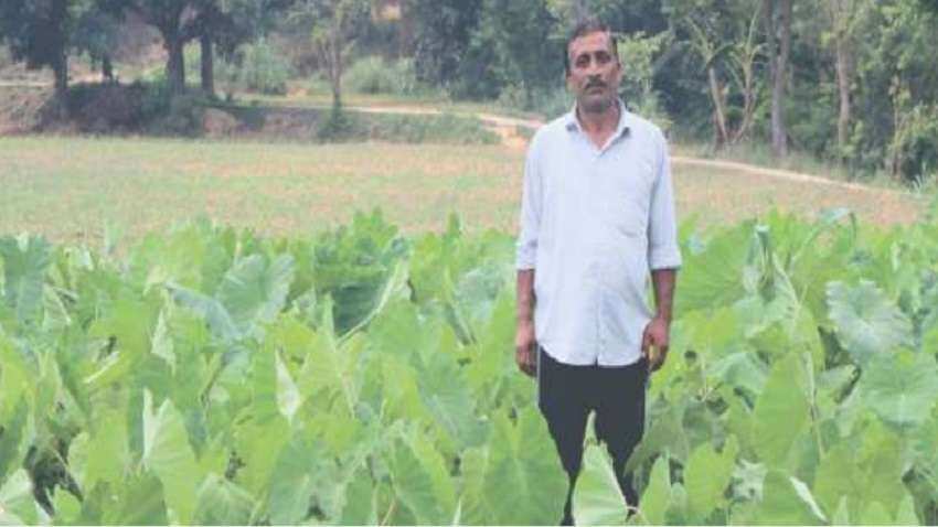 नौकरी छोड़ खेती में आजमाया हाथ, 2 हजार रुपये लगाकर कमाया ₹1.30 लाख का मुनाफा