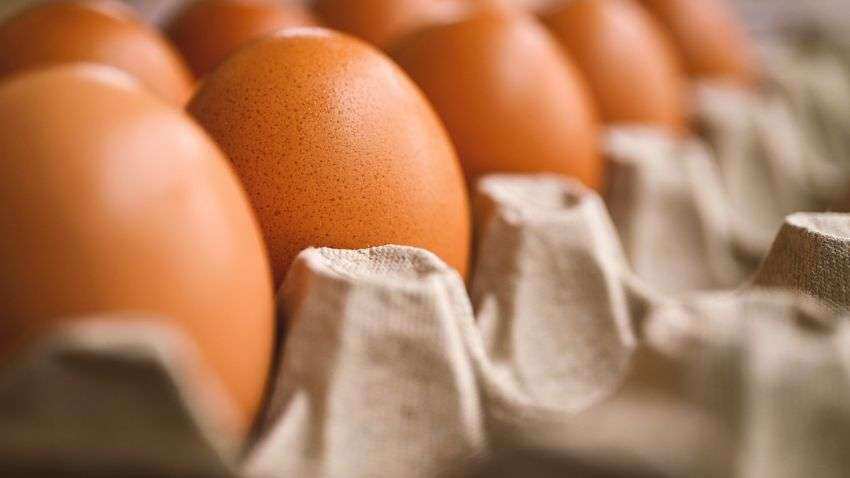 महाराष्ट्र में अंडों की भारी किल्लत, रोजाना 1 करोड़ की आ रही कमी- एक्शन में आई सरकार