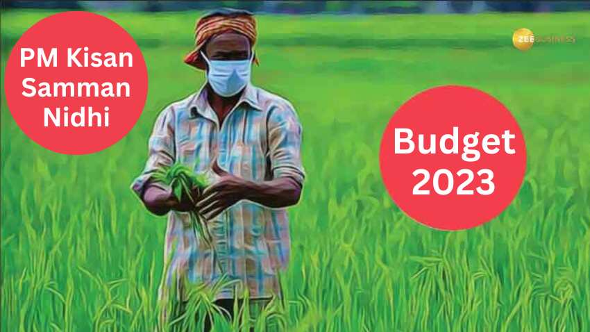 Union Budget 2023: किसानों को मिलेगा तोहफा? PM Kisan योजना में अब 3 नहीं 4 किस्त में मिलेगा पैसा! कुल 8000 रुपए आएंगे