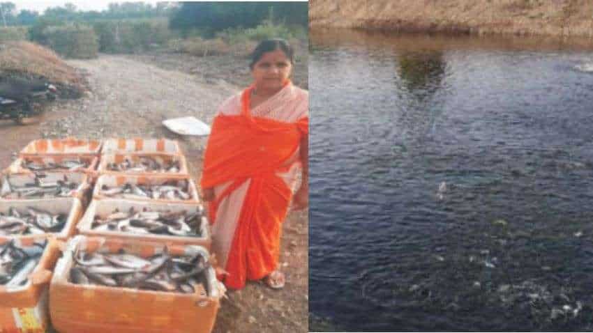 चौथी पास महिला ने किया कमाल, मछली बेचकर हर साल कमा रही ₹25 लाख से ज्यादा