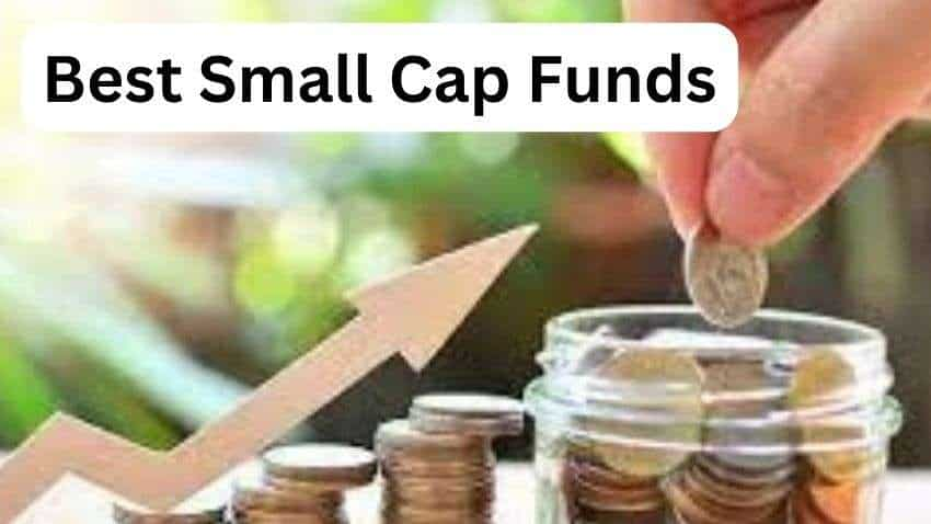 Small Cap Funds में आई निवेशकों की बहार, SIP से धन वर्षा के लिए ब्रोकरेज ने इन 5 फंड्स को चुना