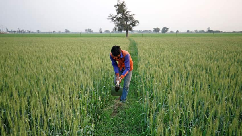 तेजी से बढ़ रहे तापमान ने बढ़ाई किसानों की चिंता, ज्यादा गर्मी से गेहूं की फसल खराब होने की आशंका